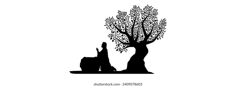 living-as-light-and-salt-embracing-a-spiritually-centered-life